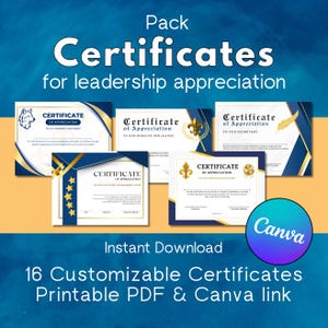 Scout Den Leader Certificates & Pack Awards of Appreciation for Volunteers