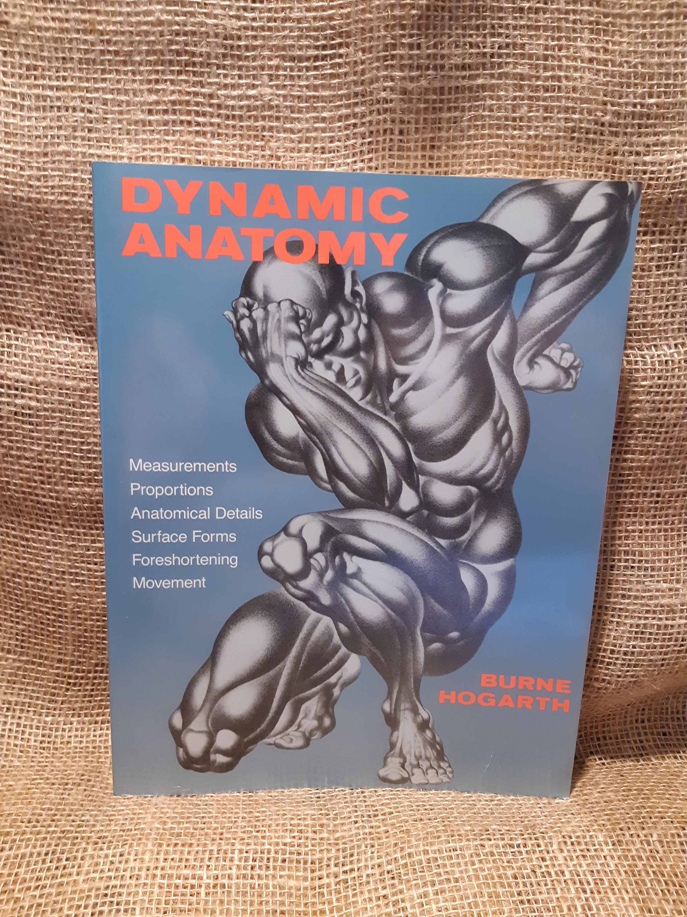 dynamic anatomy for artists