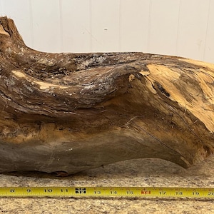 Eastern Red Cedar Wood Log: Unusual Shape Craft Supply, Flower Display