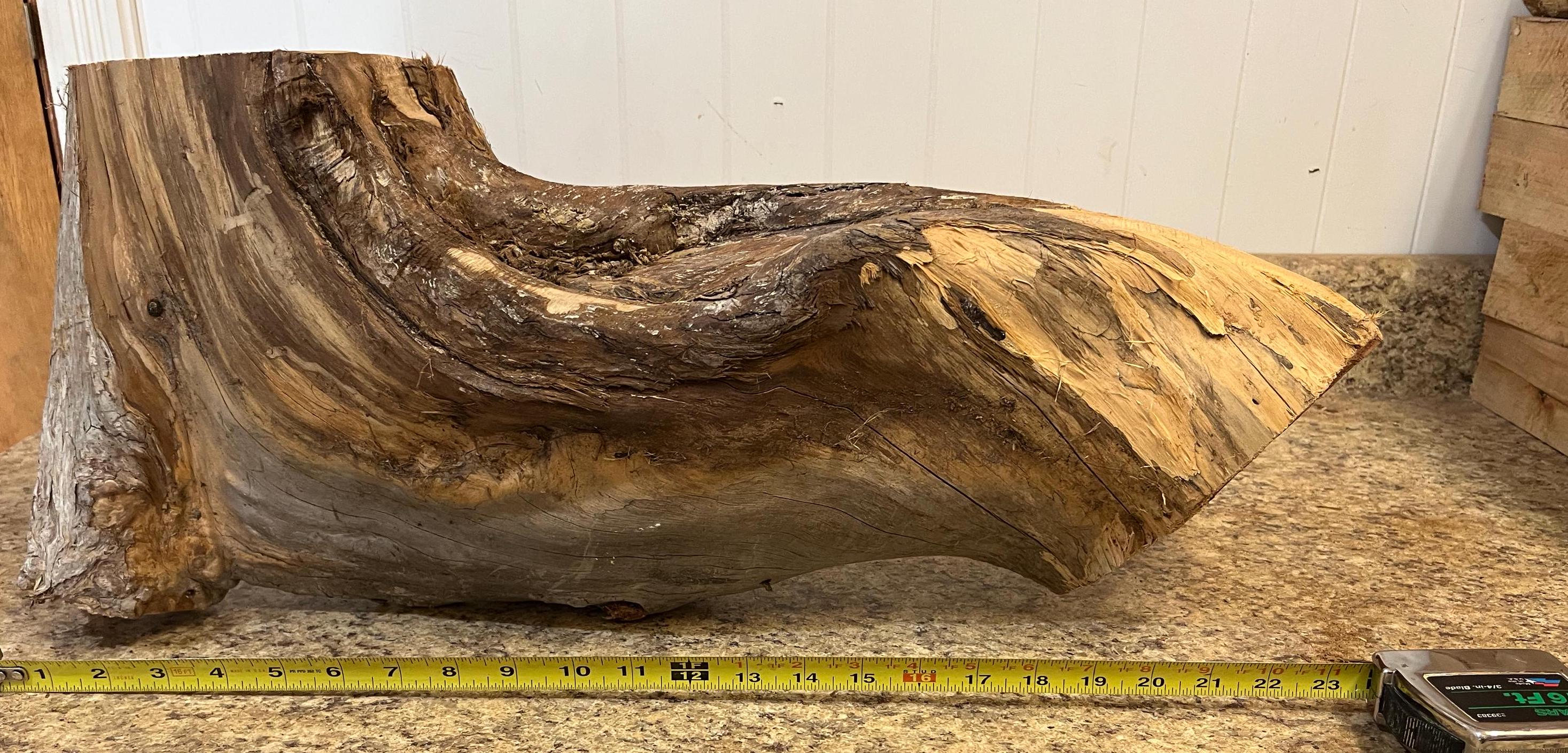 Eastern Red Cedar Wood Log: Unusual Shape Craft Supply, Flower Display