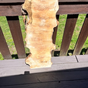 Live Edge Maple wood Burl Slab 41”x15”x1.5”