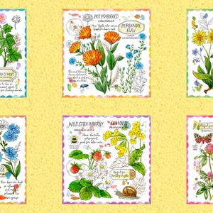 May include: A fabric panel featuring six illustrated botanical designs. Each square showcases a different plant, including Common Mallow, Pet Marigold, Chamomile, Chicory, Wild Strawberry, and Virginia Bluebells, with handwritten text and colorful details.