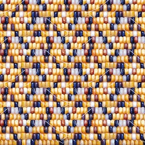 May include: A close-up of a beaded pattern with a variety of colors, including yellow, white, blue, and brown. The beads are arranged in a repeating pattern, creating a textured and intricate design.