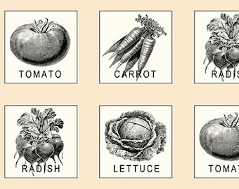 May include: Black and white line drawings of six different vegetables: tomato, carrot, radish, lettuce, and tomato. Each vegetable is labeled with its name.