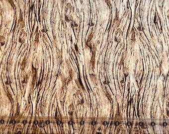 Open air driftwood from Quilting Treasures Fabrics raffia colorway
