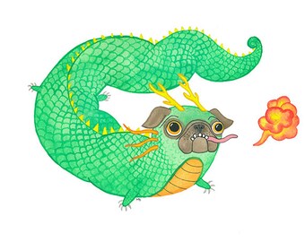 Klumpig drake