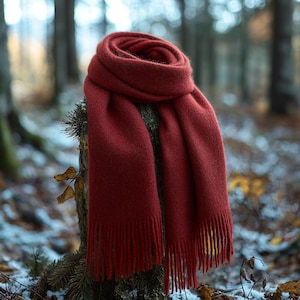 May include: A red wool scarf with fringe on the ends. The scarf is draped over a tree stump in a snowy forest.