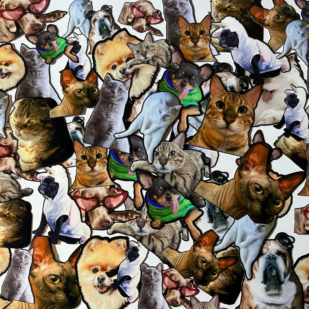 Pets Sticker Scenes 6 Custom Stickers of Your Pet - Etsy