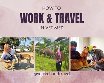 May include: A pink and white graphic with the text "HOW TO WORK & TRAVEL IN VET MED" and the text "@vettechandtravel" and "14 Page Instant Download!"  The graphic features three images of a woman working with animals. The first image shows a woman with a dog. The second image shows a woman with an elephant. The third image shows a woman examining a dog.