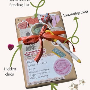 Blind Date with a Book – Mystery Wrapped Book Gift, Surprise Book Box, Book Lover Gift, Cozy Reading Gift