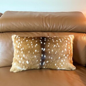 May include: A rectangular decorative pillow with a brown and white spotted pattern, resembling deer fur. The pillow is placed on a brown leather sofa, adding a touch of rustic charm to the interior decor.