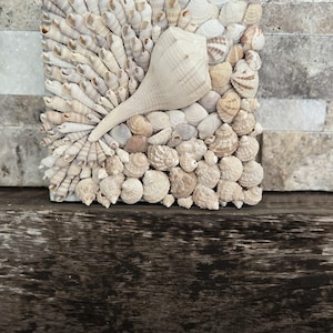 Coastal Shell Mosaic Wall Art - Handmade Mixed Seashell Collage - Ocean ...