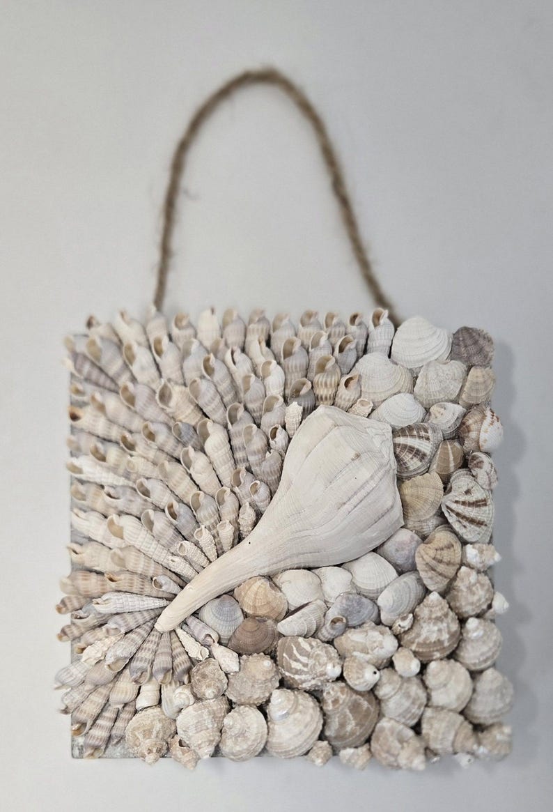 Coastal Shell Mosaic Wall Art - Handmade Mixed Seashell Collage - Ocean ...