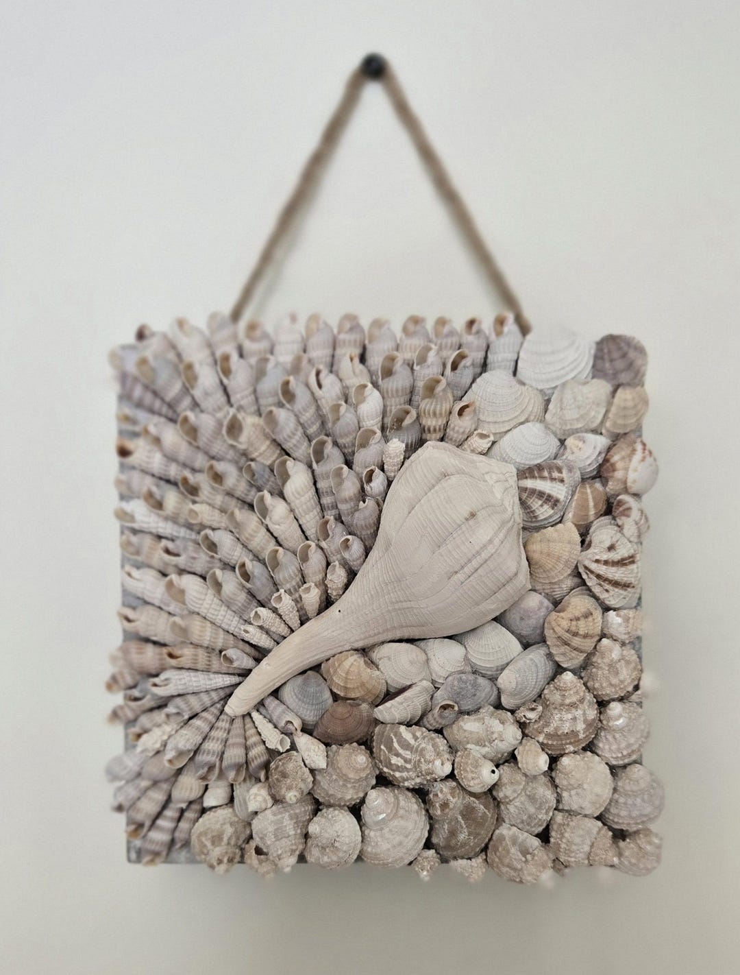 Coastal Shell Mosaic Wall Art - Handmade Mixed Seashell Collage - Ocean ...
