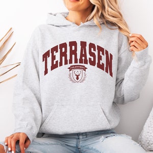Terrasen Hoodie, Original Design, Throne of Glass sweater, Gift for the TOG Fan Girl, ACOTAR Merch, Aelin Galathynius