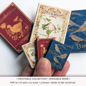 May include: A selection of small books with bird-themed designs. The books display titles such as "Birds of the United States" and "Book of Canaries and Cage Birds." The covers are in red, blue, and cream, with gold detailing and intricate illustrations.