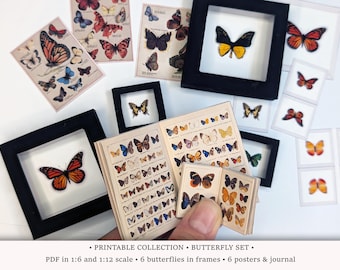 Butterfly Study: PRINTABLE 3D Display Frame, Openable Journal and Posters • Miniature in 1/6 and 1/12 Scale (PDF Download)