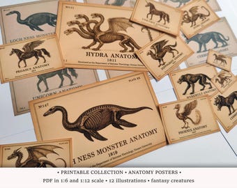 Fantasy Anatomy Charts: Magic Creatures, Vintage Dollhouse Prints in 1/6 and 1/12 scale (PDF Download)