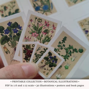 Botanische Illustrationen • Druckbare Buchseiten im Maßstab 1:6 und 1:12 • Puppenhaus-Diorama-Dekoration • Miniatur-Vintage-Kunst • Scrapbook-Materialien