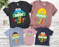 Character Birthday Family matching Shirts, theme Birthday Custom Family Tee, Personalized Family Gildan Comfort Tees for Birthday