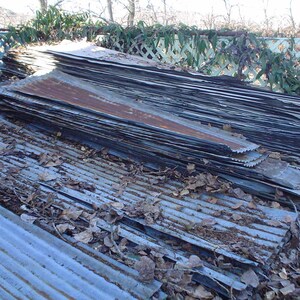May include: A stack of corrugated metal sheets, weathered and rusted, with some leaves and debris on top.