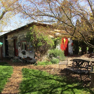 May include: A rustic wooden shed with a red door and a yellow kite hanging above it. The shed is surrounded by green foliage and a path leads to the front door.