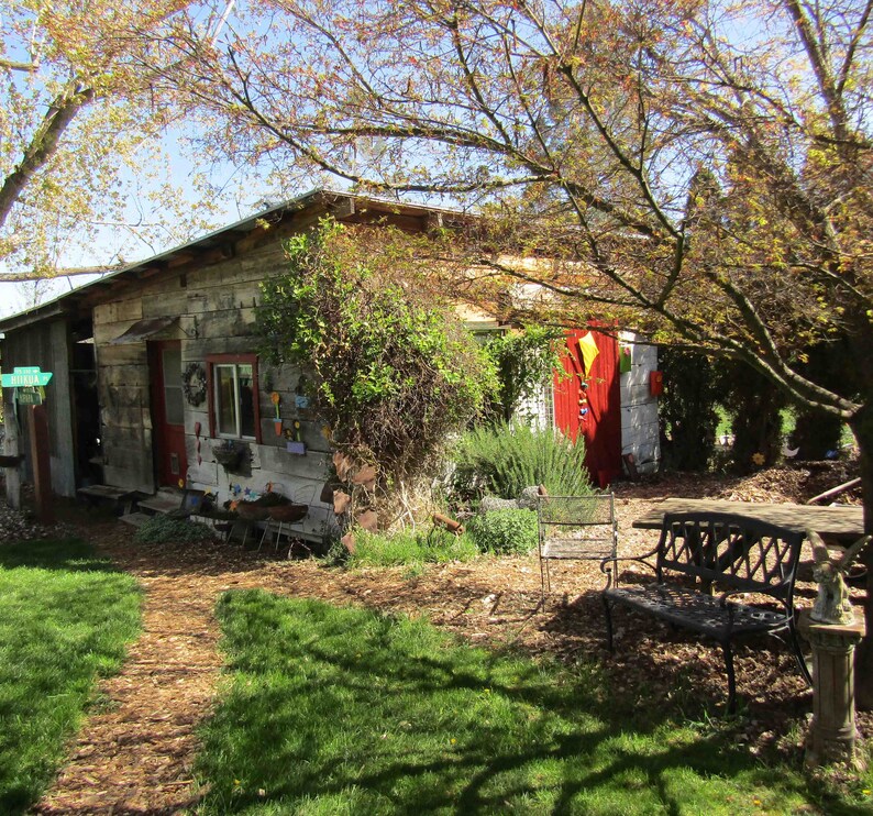 May include: A rustic wooden shed with a red door and a yellow kite hanging above it. The shed is surrounded by green foliage and a path leads to the front door.