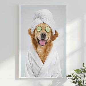 May include: A framed print featuring a Golden Retriever wearing a white spa robe and a matching towel on its head. The dog has cucumber slices over its eyes. The dog is smiling with its tongue out, creating a humorous and relaxing spa theme.