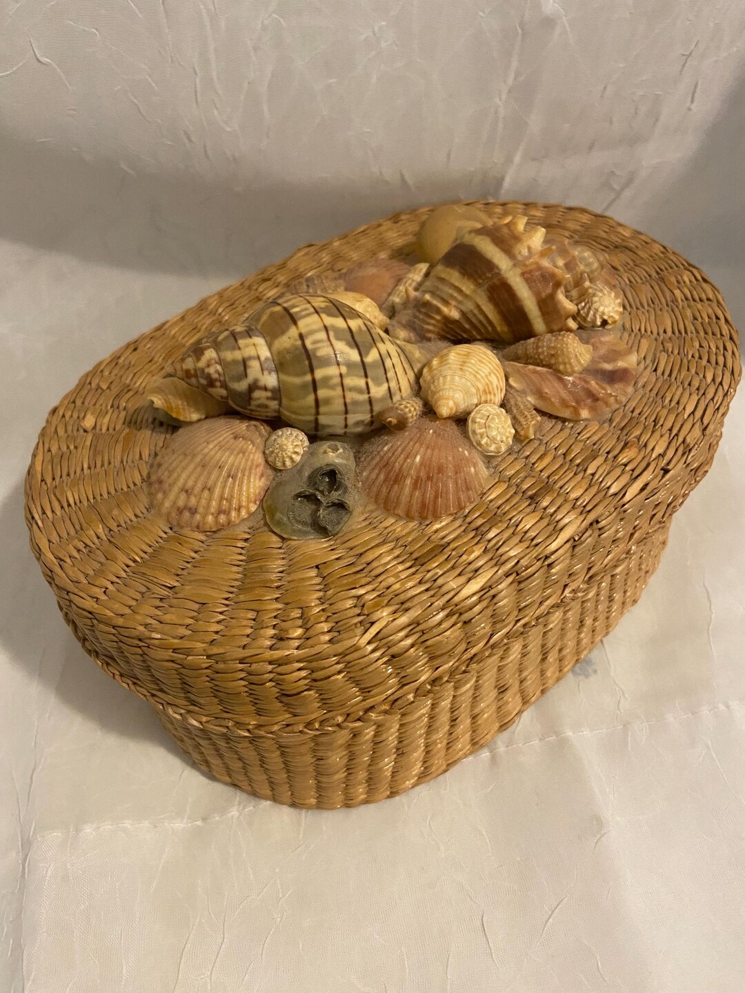 Wicker Shell Seashell Decorated 7 in Oval Trinket Box Beach Ocean Decor Seagrass ...