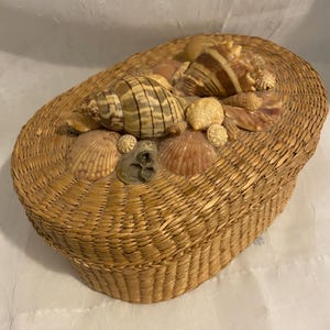 Könnte beinhalten: Ovaler geflochtener Korb mit Deckel, verziert mit verschiedenen Muscheln. Der Korb ist hellbraun und die Muscheln sind in Braun-, Beige- und Weißtönen gehalten. Der Korb wird wahrscheinlich zur Aufbewahrung oder Dekoration verwendet.