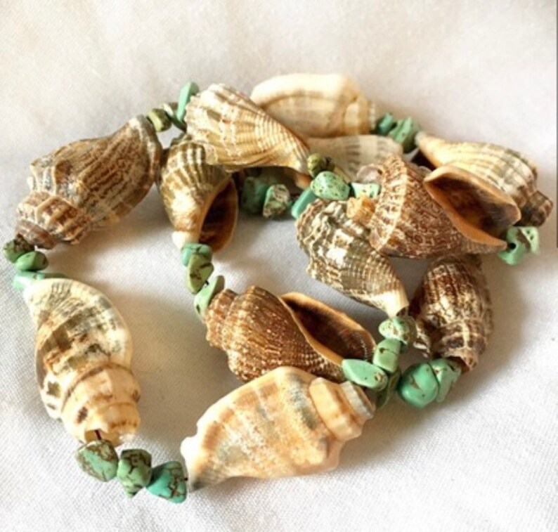 Natural Shell Necklace with Turquoise Beads Florida Beach Mermaid Vibes image 7