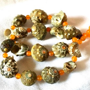 Beachy Natural Shell Necklace with Orange Jade Beads image 7