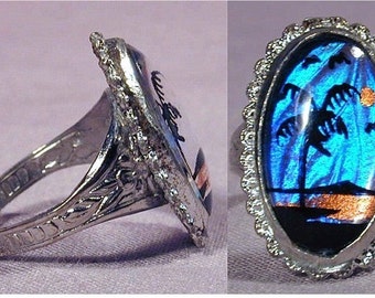Orig. 1950s Genuine BUTTERFLY WING Tropical Scene Ring