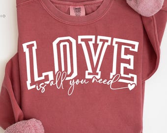 Love Is All You Need Shirt, All You Need is Love Comfort Colors®Valentines Sweatshirt, All You Need Is Love Shirt, Funny Valentines Day Gift