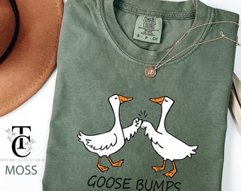 May include: A green t-shirt with a graphic of two geese giving each other a high five. The text "GOOSE BUMPS" is printed below the geese.
