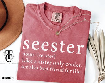 Comfort Colors® Seester Definition Shirt, Gifts for Sister, Best Sister Gifts, Funny Saying Sis Shirt, Sister Noun Shirt, Sister Tee Shirts