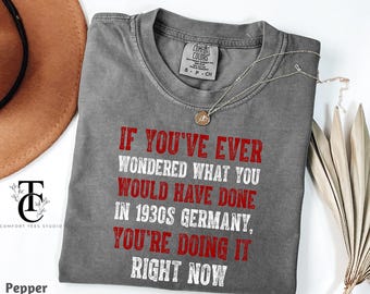 Comfort Colors®If You've Ever Wondered What You Would Have Done in 1930s Germany Shirt, Anti-Trump Tee Shirt, Trendy Democracy Liberal Shirt
