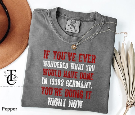 Comfort Colors®If You've Ever Wondered What You Would Have Done in 1930s Germany Shirt, Anti-Trump Tee Shirt, Trendy Democracy Liberal Shirt