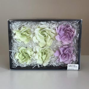 6 Natural Preserved Gardenias 4–6 cm | Green & Purple | Real Eternal Flowers | Wedding Decor | DIY Floral Supplies | Earth Matters Japan