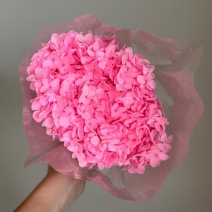 Real Natural Preserved Vibrant Pink Hydrangea Bouquet | 44 cm Tall Everlasting Flowers | Decorative Natural Bloom for Floral Design, Gift