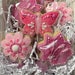 see more listings in the Cookie Bouquets section