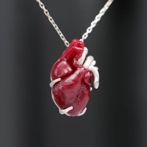Silver Anatomical Heart Necklace, Valentine&#39;s Day Gift Pendant, Couple Jewelry, Heart With Snakes, Valentine&#39;s Day Gift, Gift For Girlfriend