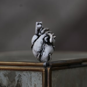 Anatomisches Herz Schlange Anhänger, antikes Silber Anatomisches Herz Anhänger, Einzigartiger Schmuck. Geschenk für Krankenschwester