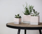 Herringbone Square Planter - Summer Sweet