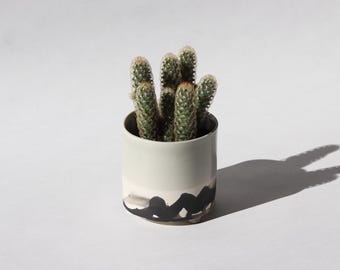 Splatter Planter - Seafoam