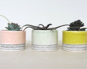 Pinched Porcelain Cup Planter  with Herringbone - Made to Order