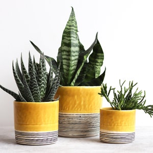 Pinched Planter with Stripes - Daybreak - Ready to Ship