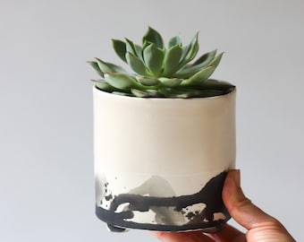 Splatter Planter - Summer Sweet
