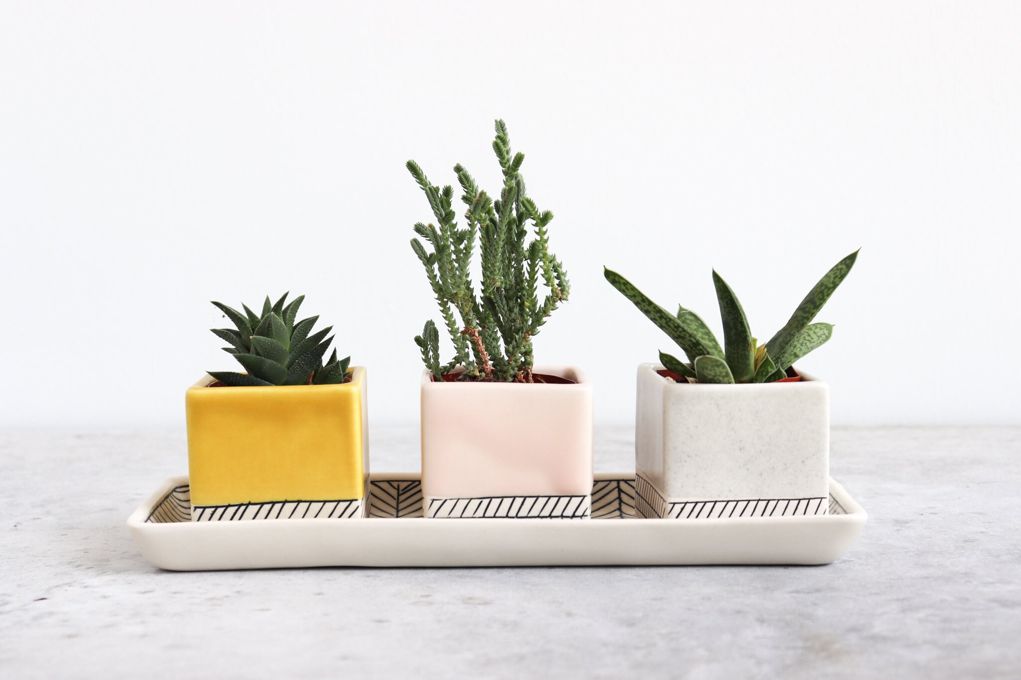 Fischgrät Platz Pflanzer Sommer süß | Etsy