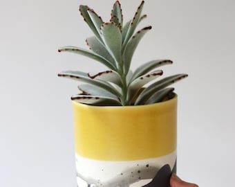 Splatter Planter - Daybreak